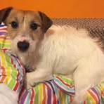 Maggie Carney - Facebook