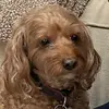 Maggie - @maggie.casey - TikTok