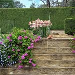 casperandmaggie - @casperandmaggie - Instagram