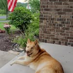 Maggie Casper - @maggiespawpalace - Instagram