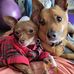 Maggie Chambers - Facebook