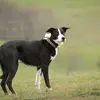 Marvelous Mags - @maggiechambers - TikTok