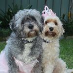 Maggie & Cherry - @maggieandcherry - Instagram