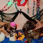 Maggie _Cherry - @maggie_cherry_shizulove - Instagram