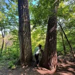 Maggie Christopher - @wxwritermaggie - Instagram
