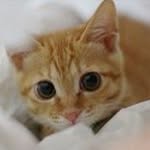 Maggie  Chui - @maggie.chui.71 - Instagram
