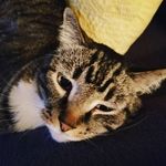 Maggie Cloud - @mpiecloud - Instagram