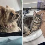 Maggie&Cloud - @maggie_and_cloud - Instagram