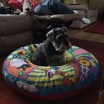 Maggie Coates - @maggie.coates - Instagram