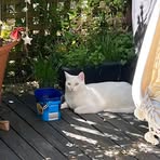 Maggie Colley - Facebook