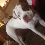 Maggie May Combs - @maggie_may_combs - Instagram