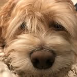 maggie Conlin - @maggie.conlin.1123 - Instagram