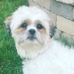 maggie Conroy - @themaggitron - Instagram