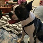 @maggieconroy_500 - Instagram