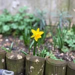 Maggie - @maggie_cornwell_sport - Instagram