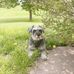 Maggie Cottrell - Facebook