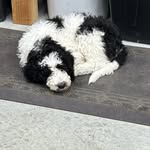 Jason and Maggie Couch - @my_zo_bo - Instagram
