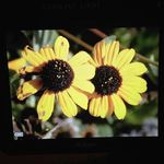 Maggie Couch & Paige Denning - @mags_paige_photography - Instagram