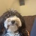 Maggie Coyle - Facebook