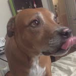 Maggie crain - @magpie615 - Instagram