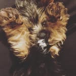Magnolia Shelby Crain - @maggiecrain - Instagram