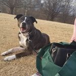 Maggie Creech - @ateramor - Instagram