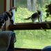 Maggie Crow - Facebook