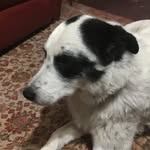 Maggie Crow - @amcrow49 - Instagram