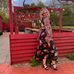 Maggie Crowe - Facebook