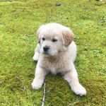 Maggie Crowley - @maggie___crowley - Instagram