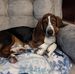 Maggie Mae Crow - Facebook