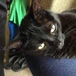 Maggie May Crow - @maggiecrow - Instagram