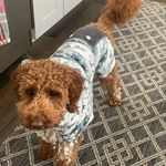 @maggiecrowley10 - Instagram