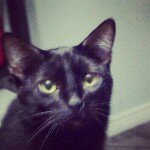 Margaret Crowley Fyie - @maggiecf79 - Instagram