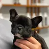 Maggie - @maggie.curtis.20 - TikTok