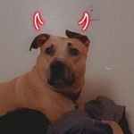Maggie (Dailey) - @maggied3417 - Instagram