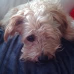 Maggie Dailey - Facebook