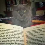 Dame Maggie Smith - @dame_maggiesmith - Instagram