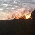 Maggie Daugherty - @maggie_daugherty - Instagram