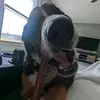 Maggie_Dee_ - @maggie_dee_ - TikTok