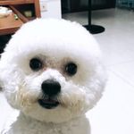 Maggie_JJ - @maggieding - Instagram