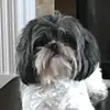 Maggie Doherty - @maggie.doherty2006 - TikTok