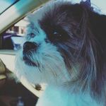 Maggie Doss - @thelonerangerdoss13 - Instagram