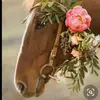 maggiedossett - @maggiedossett - TikTok