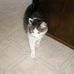 Maggie Dowell - Facebook