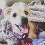 Maggie McDowell - @missmaggiemcdowell - Instagram
