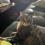 Maggie Duffy - @maggie_aka_mango_d - Instagram