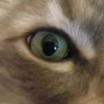 Maggie Duffy-Hammonds - @magster1954 - Instagram