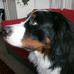 Maggie Ecker - Facebook