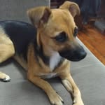 Maggie Rubio Eckermann - @maggiereckermann - Instagram